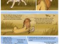 the_new_prince_p26_by_savu0211-d4dh5k1.jpg
